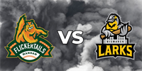 Flickertails vs. Larks_logo