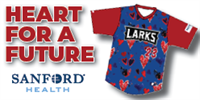 Larks vs. Bull Moose_logo